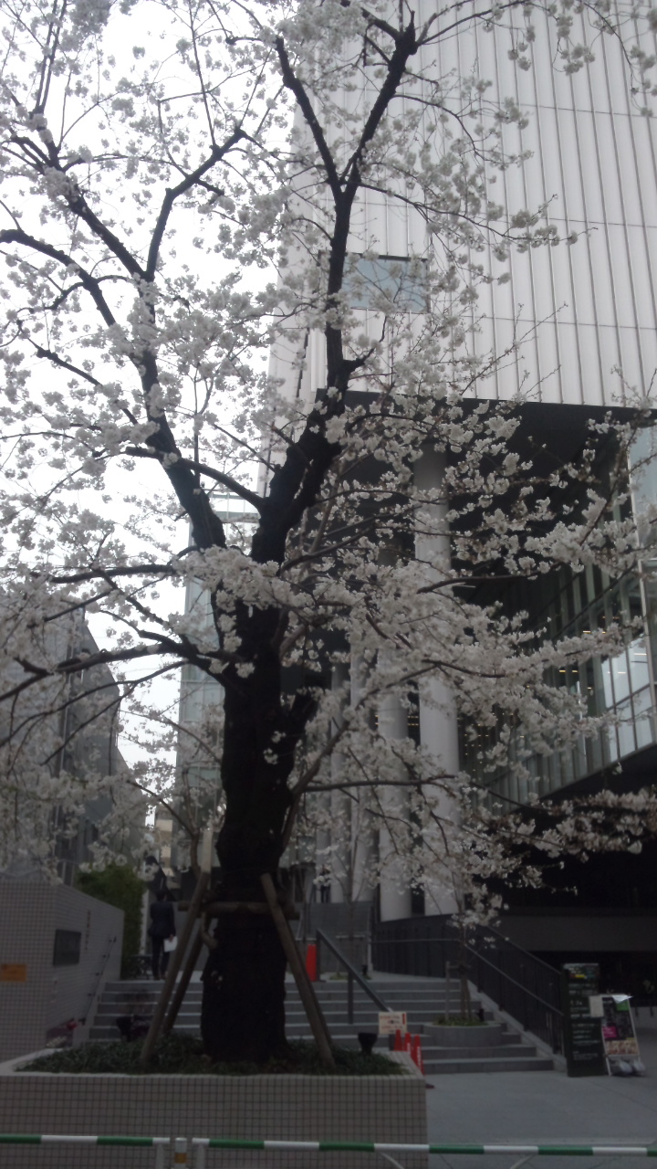 落語小噺の部屋